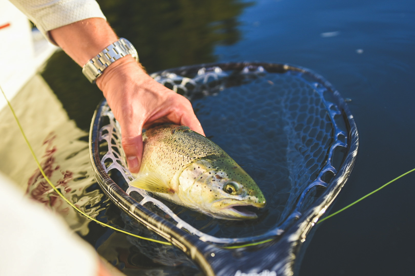 Maxima Fluorocarbon 4lb, 6lb, 8lb Leader/Tippet 27 yard Fishing Line -  SteelheadStuff Float and Fly Gear